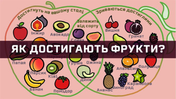 Чому деякі фрукти не «хочуть» дозрівати на столі?