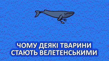 Чому деякі тварини стають велетенськими