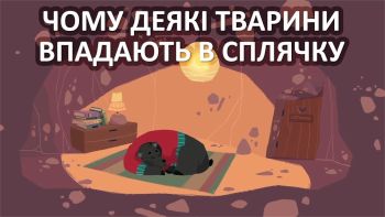 Чому деякі тварини впадають у сплячку