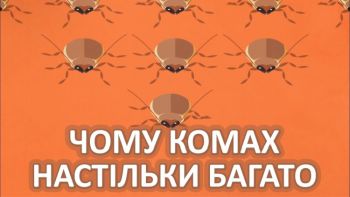 Чому комах настільки багато