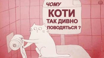 Чому коти так дивно поводяться?