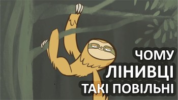 Чому лінивці такі повільні