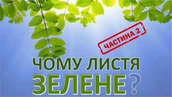 Чому листя зелене, частина 2