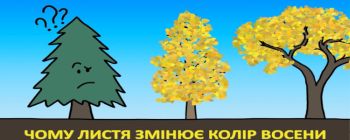 Чому листя змінює колір восени