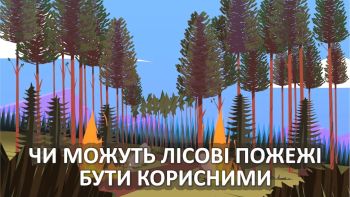 Чи можуть лісові пожежі бути корисними