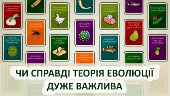 Чи справді теорія еволюції дуже важлива