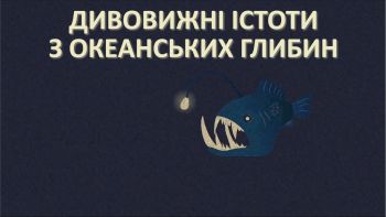 Дивовижні істоти з океанських глибин