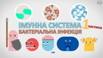 Імунна система. Бактеріальна інфекція