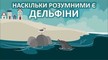 Наскільки розумними є дельфіни