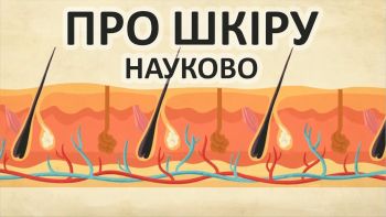 Про шкіру науково