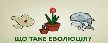 Що таке еволюція