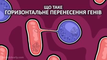 Що таке горизонтальне перенесення генів
