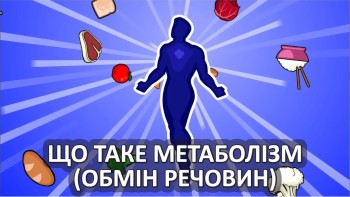 Що таке метаболізм