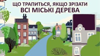 Що трапиться, якщо зрізати всі міські дерева