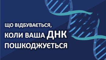 Що відбувається, коли ваша ДНК пошкоджується