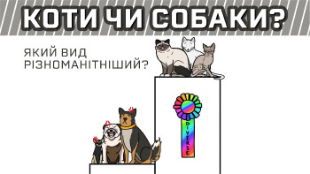 Собаки і коти. Парадокс різноманіття
