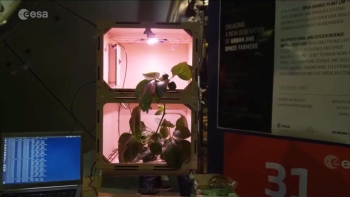 Системи життєзабезпечення у космосі