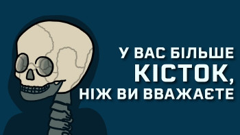 У вас більше кісток, ніж здається