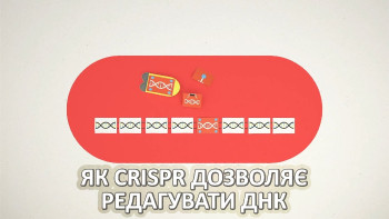 Як CRISPR дозволяє редагувати ДНК