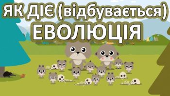 Як діє еволюція