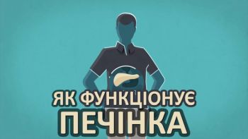 Як функціонує печінка