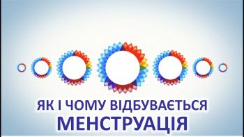 Як і чому відбувається менструація