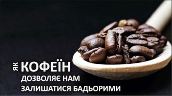 Як кофеїн дозволяє нам залишатися бадьорими