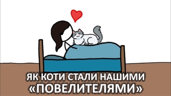 Як коти стали нашими «повелителями»