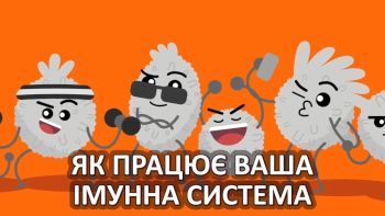 Як працює ваша імунна система