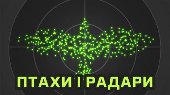 Як радари допомагають відстежувати птахів?