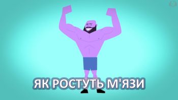 Як ростуть м'язи