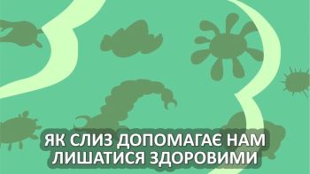 Як слиз допомагає нам лишатися здоровими
