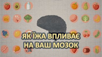 Як їжа впливає на ваш мозок
