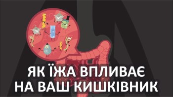 Як їжа впливає на ваш кишківник