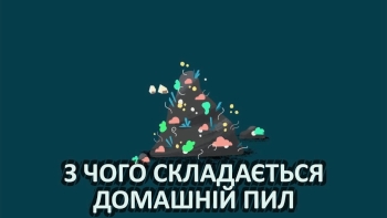 З чого складається домашній пил